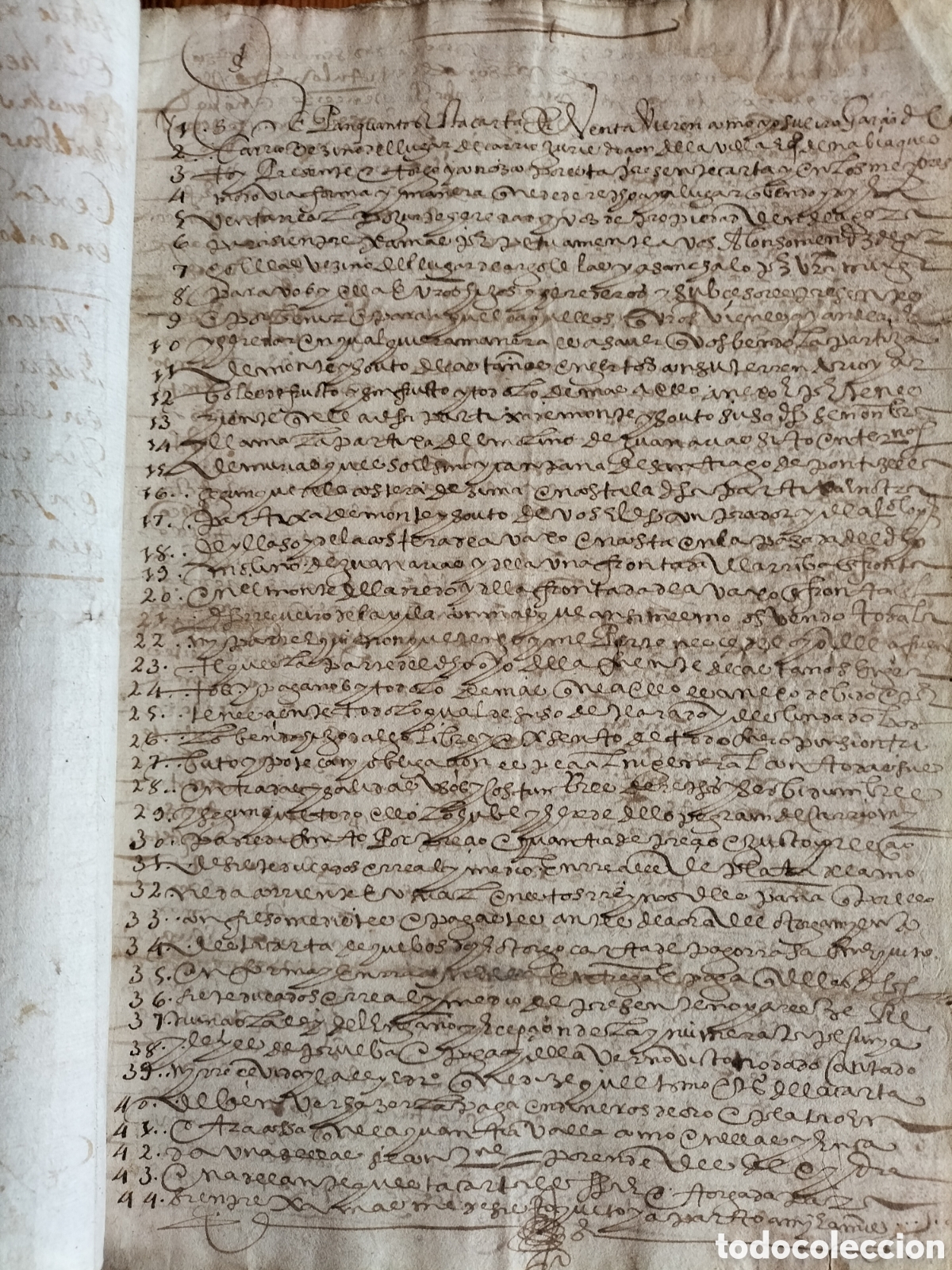 Manuscritos antiguos: Murias, Asturias. Carta de venta de Monte Souto Casta&ntilde;os y &Aacute;rboles con Fruto. 1592.