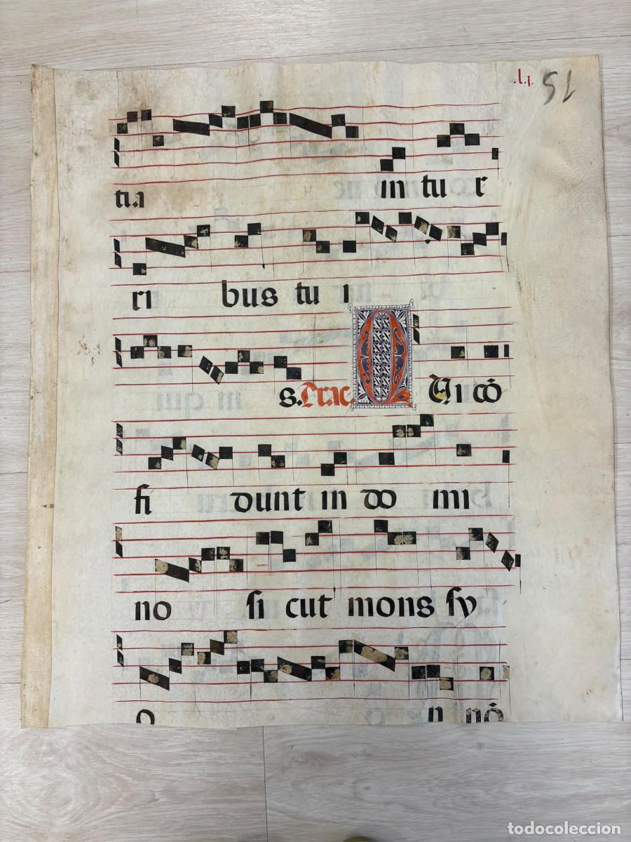 Manuscritos antiguos: Hoja de cantoral del siglo XVII de gran formato.