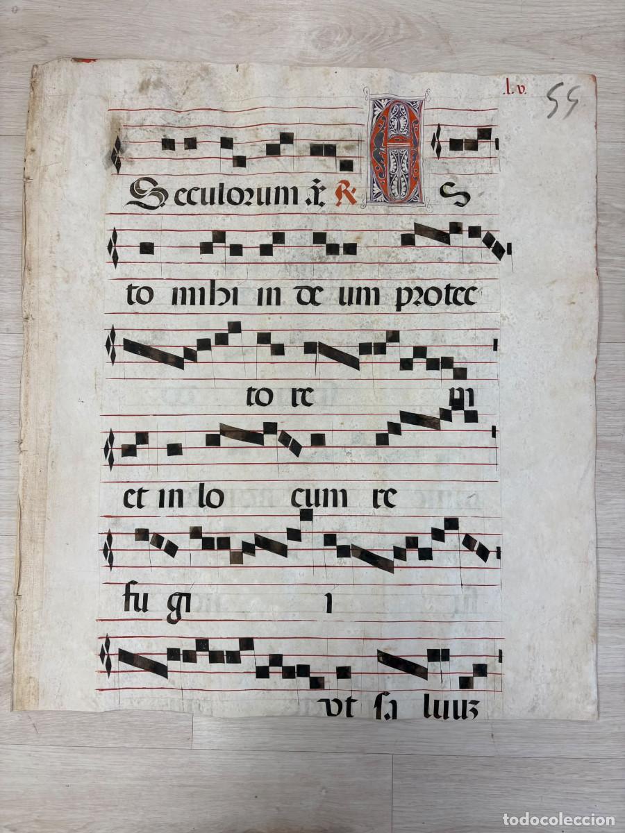 Manuscritos antiguos: Hoja de cantoral del siglo XVII de gran formato.