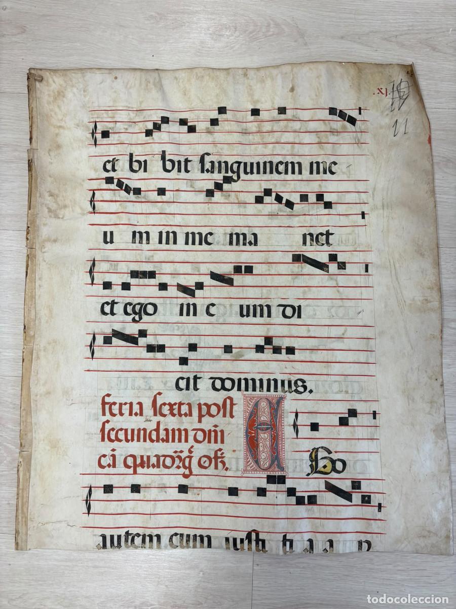 Manuscritos antiguos: Hoja de cantoral del siglo XVII de gran formato.