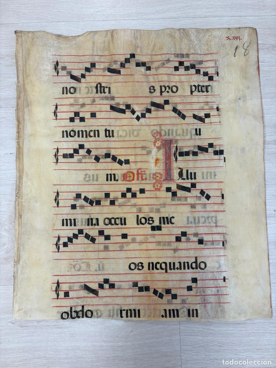 Manuscritos antiguos: Hoja de cantoral del siglo XVII de gran formato.