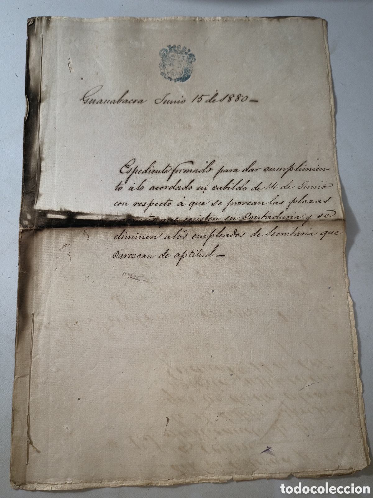 Manuscritos antiguos: Cuba espa&ntilde;ola, expediente plazas otorgadas por el cabildo,a&ntilde;o 1880