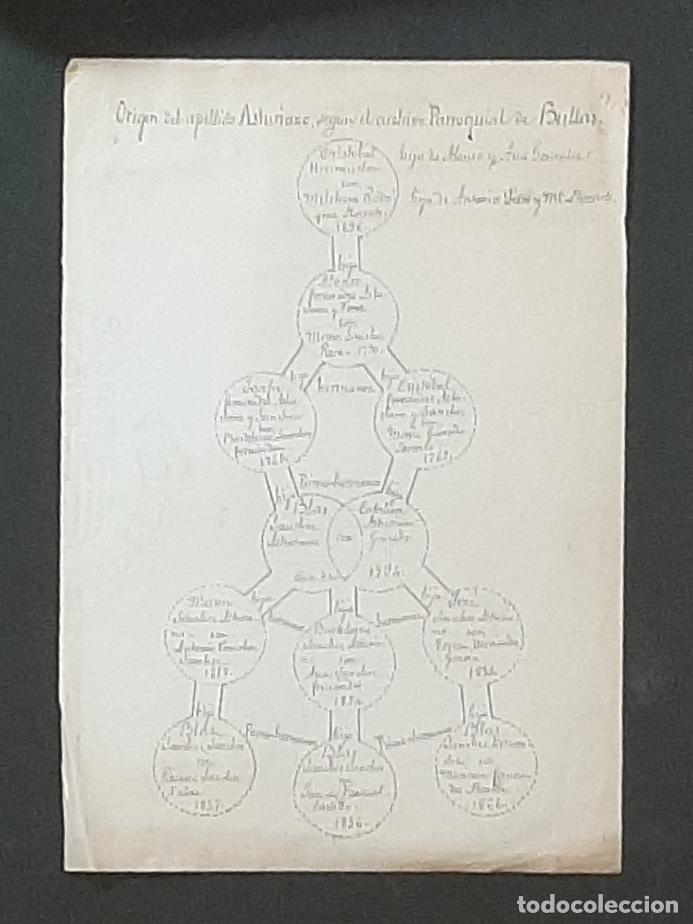 Manuscritos antiguos: ARBOL GENEAL&Oacute;GICO DEL APELLIDO ASTURIANO DE BULLAS SIGLO XIX