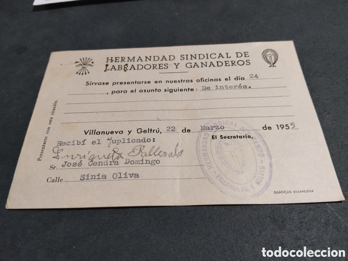 Manuscritos antiguos: Hermanda Sindical de Labradores y Ganaderos Villanueva y Geltr&uacute; 1955 Enriqueta Pallerals