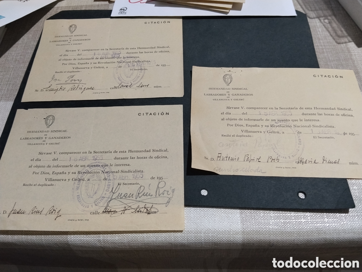 Manuscritos antiguos: Hermandad Sindical de Labradores y Ganaderos de Villanueva y Geltr&uacute; 1955