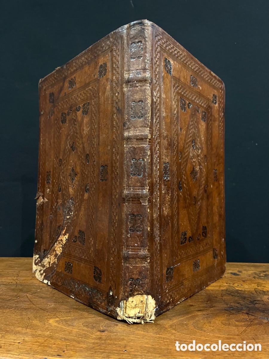 Manuscritos antiguos: 1669. Ejecutoria de Hidalgu&iacute;a. Jerez de la Frontera - Foto 15