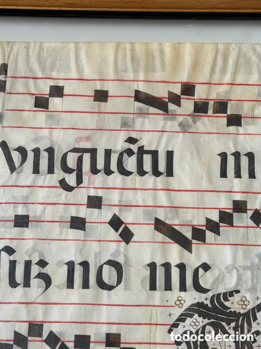 Manuscritos antiguos: Hoja pergamino cantoral xvi - Foto 2