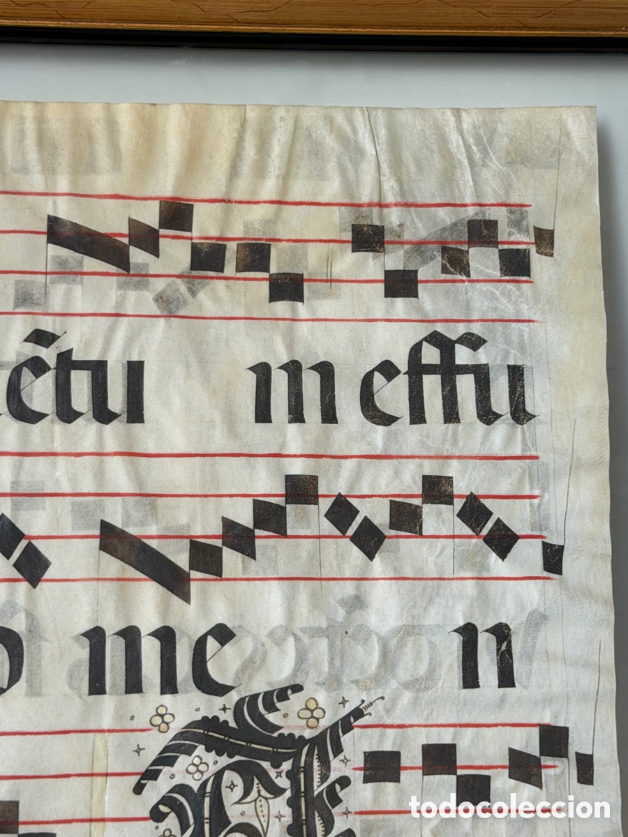 Manuscritos antiguos: Hoja pergamino cantoral xvi - Foto 3