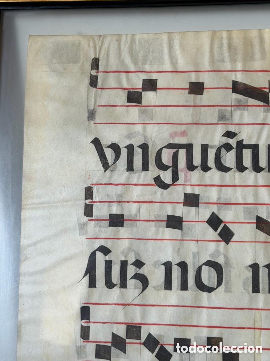 Manuscritos antiguos: Hoja pergamino cantoral xvi - Foto 4