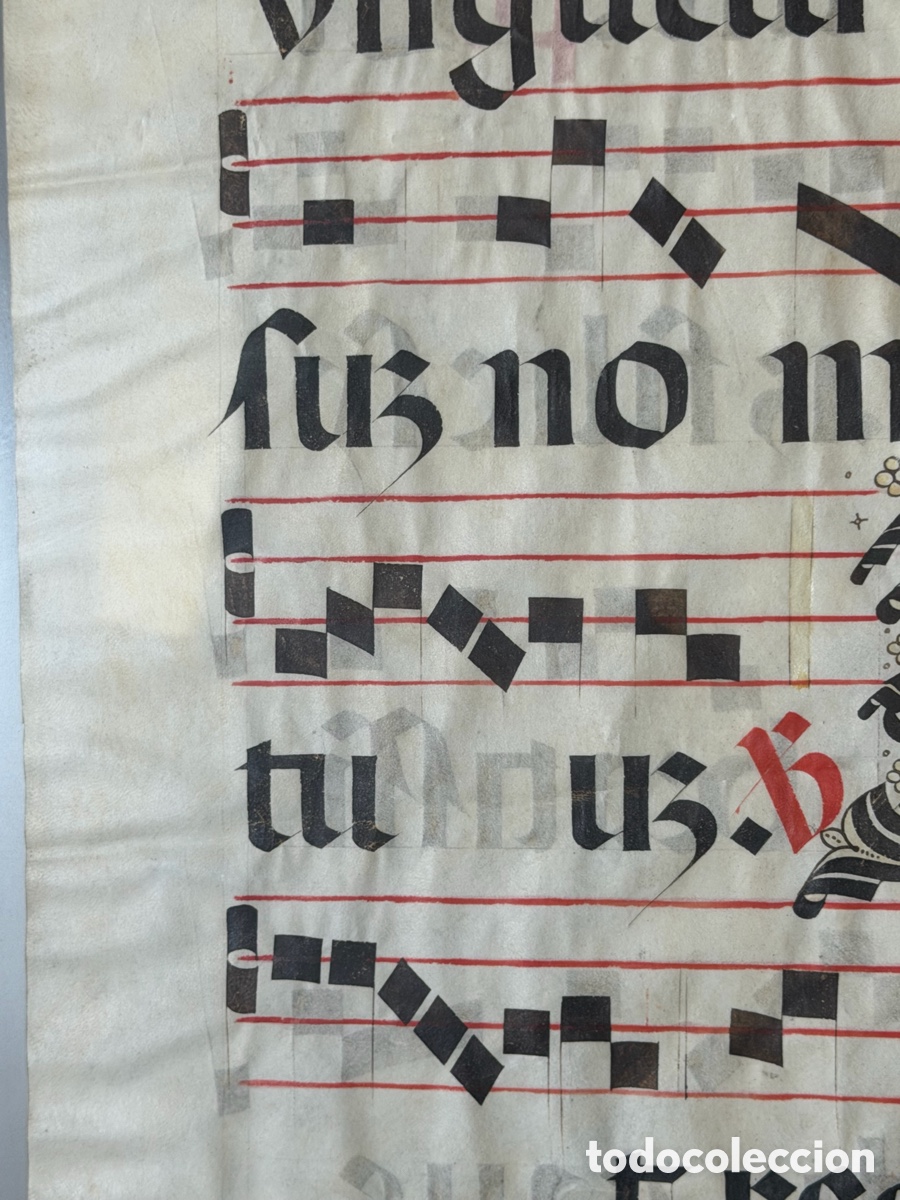 Manuscritos antiguos: Hoja pergamino cantoral xvi - Foto 5