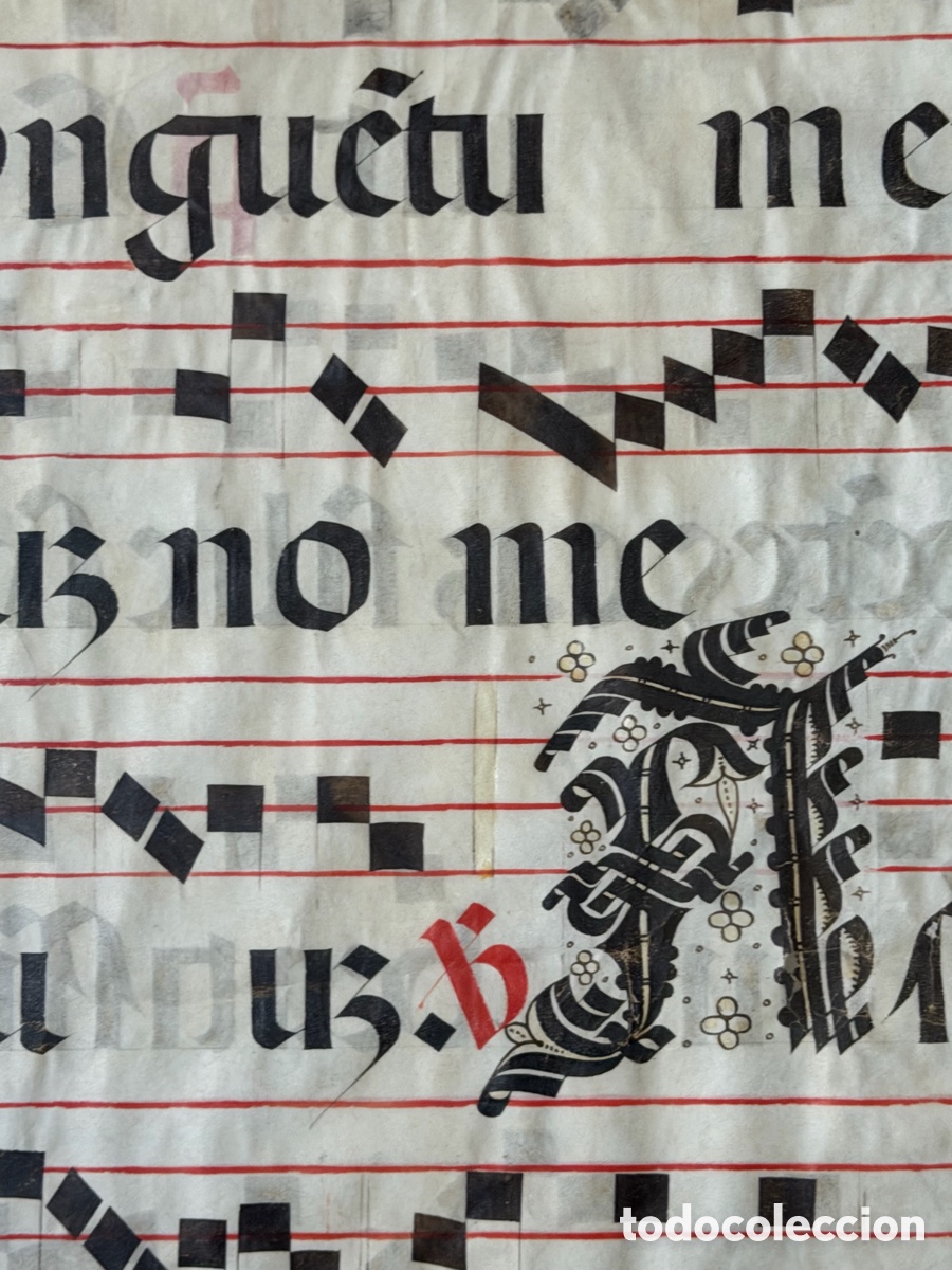 Manuscritos antiguos: Hoja pergamino cantoral xvi - Foto 7
