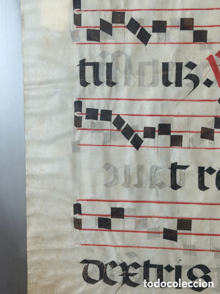 Manuscritos antiguos: Hoja pergamino cantoral xvi - Foto 8