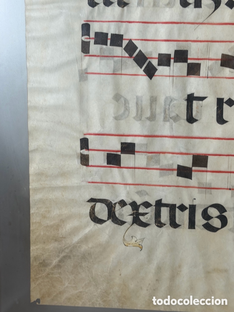 Manuscritos antiguos: Hoja pergamino cantoral xvi - Foto 9