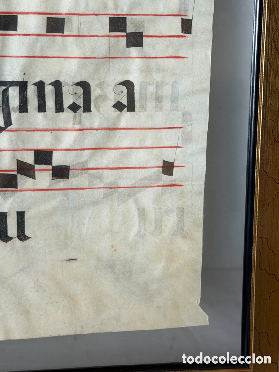 Manuscritos antiguos: Hoja pergamino cantoral xvi - Foto 10