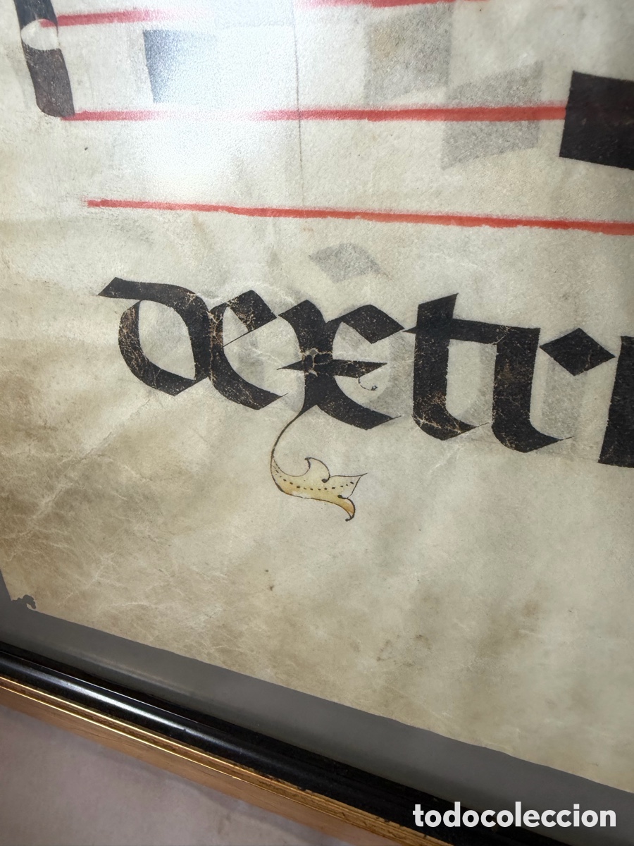 Manuscritos antiguos: Hoja pergamino cantoral xvi - Foto 11