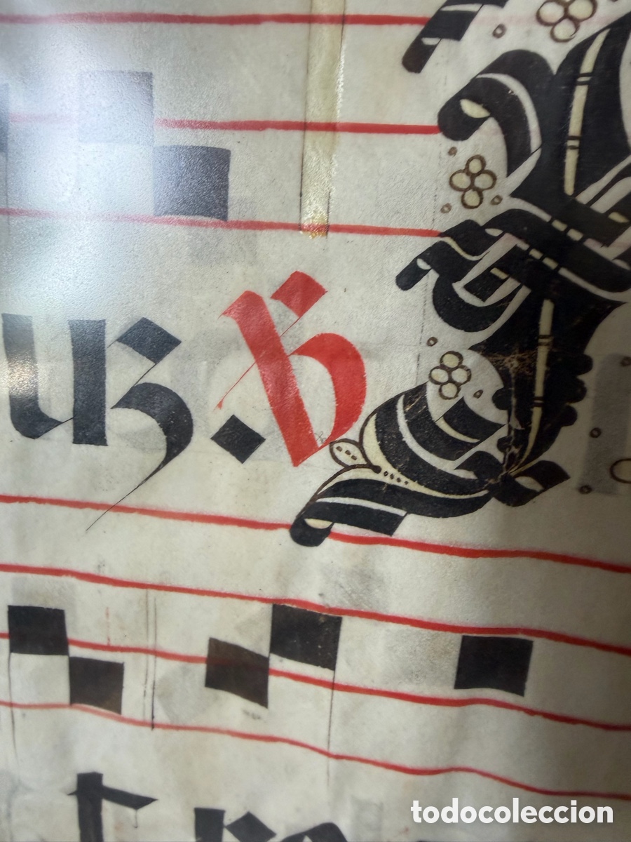 Manuscritos antiguos: Hoja pergamino cantoral xvi - Foto 12