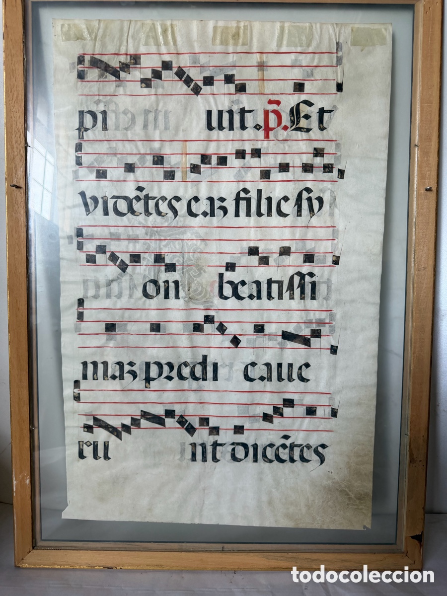 Manuscritos antiguos: Hoja pergamino cantoral xvi - Foto 14