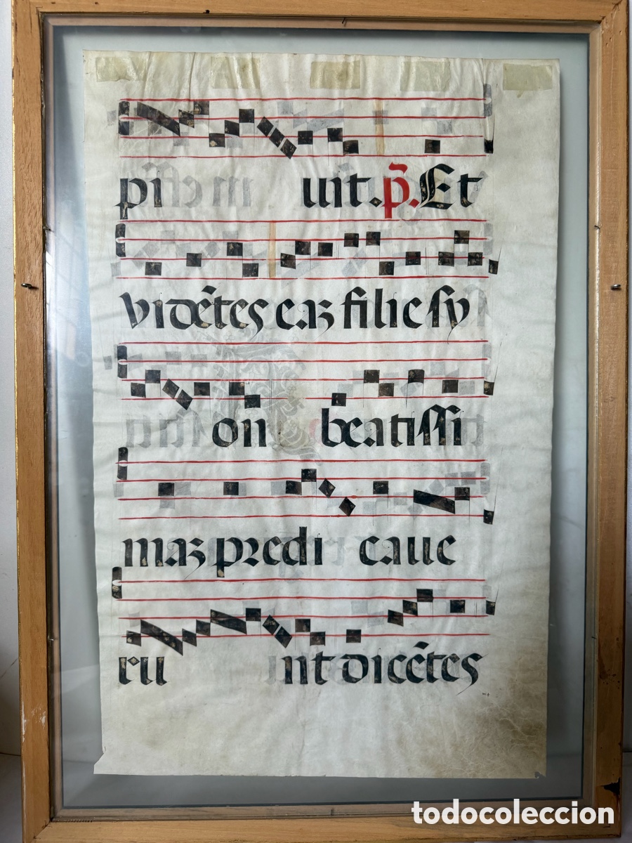 Manuscritos antiguos: Hoja pergamino cantoral xvi - Foto 15
