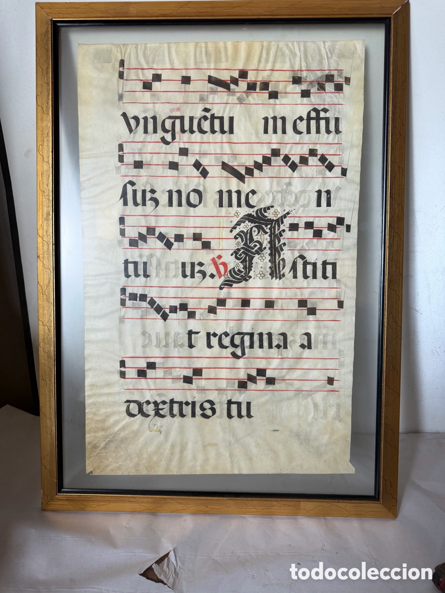 Manuscritos antiguos: Hoja pergamino cantoral xvi