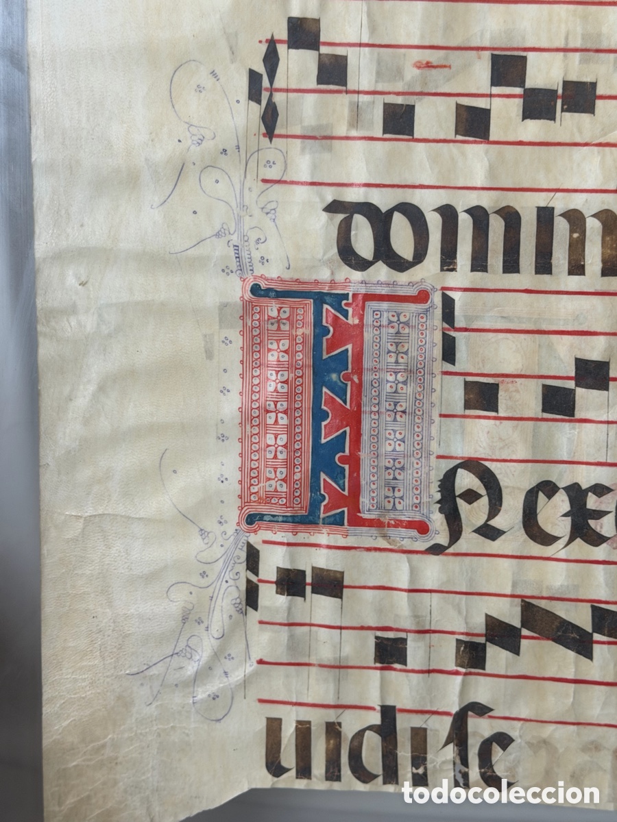 Manuscritos antiguos: Hoja pergamino cantoral xvi - Foto 3