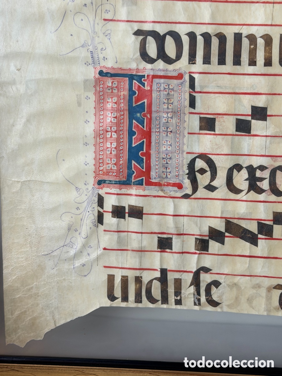 Manuscritos antiguos: Hoja pergamino cantoral xvi - Foto 4