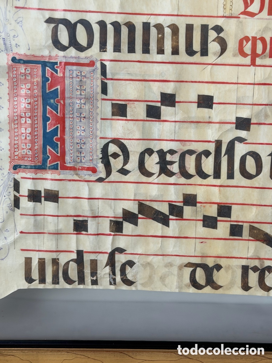 Manuscritos antiguos: Hoja pergamino cantoral xvi - Foto 5