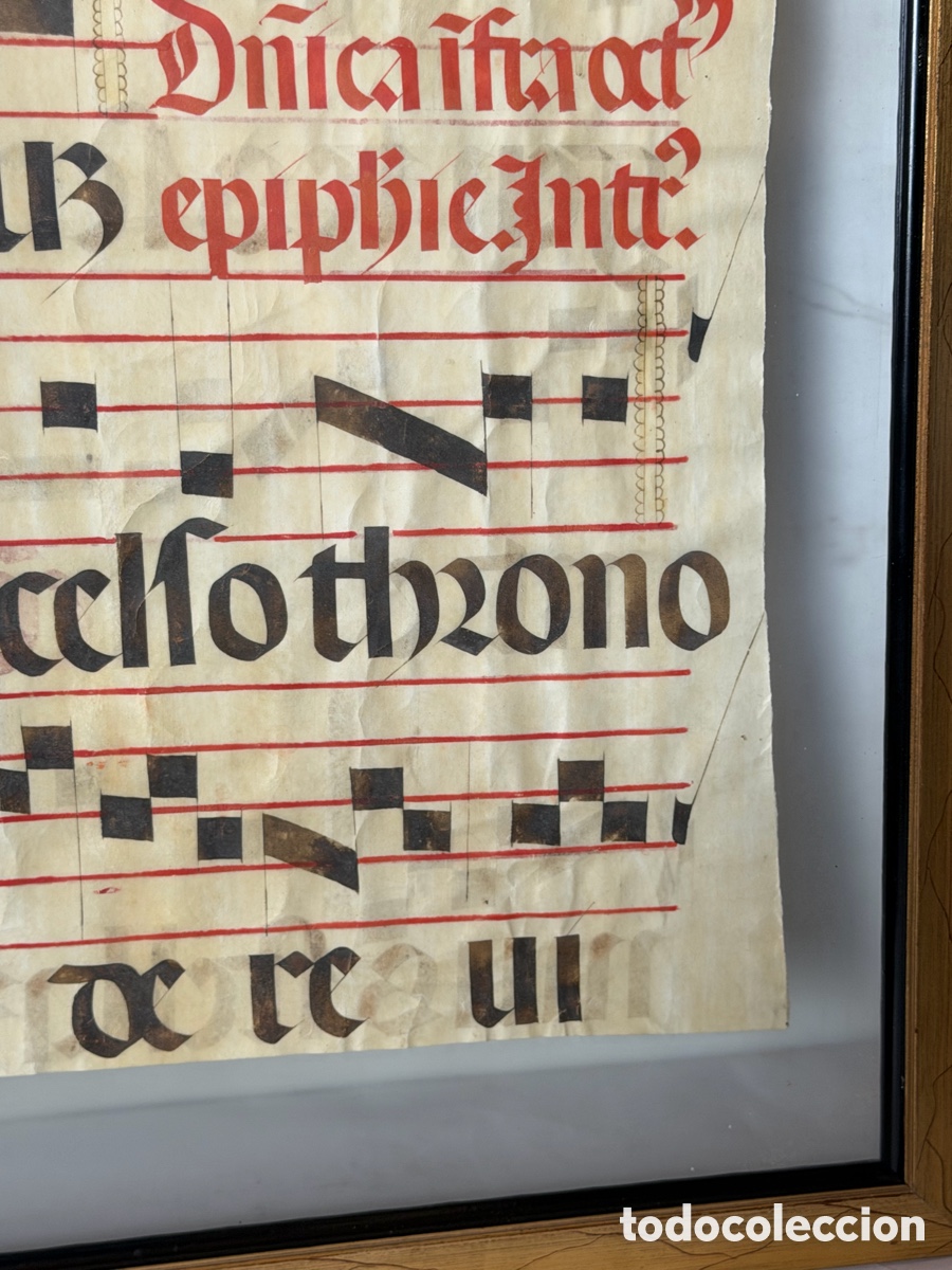Manuscritos antiguos: Hoja pergamino cantoral xvi - Foto 7
