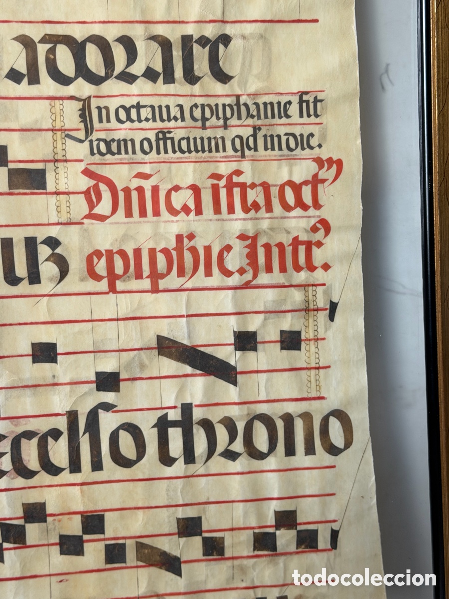 Manuscritos antiguos: Hoja pergamino cantoral xvi - Foto 8
