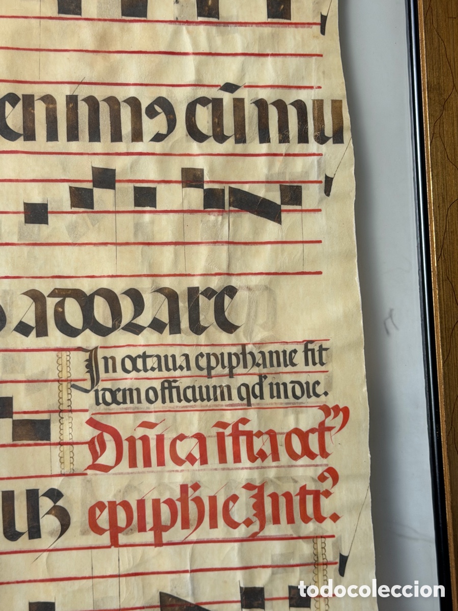 Manuscritos antiguos: Hoja pergamino cantoral xvi - Foto 9
