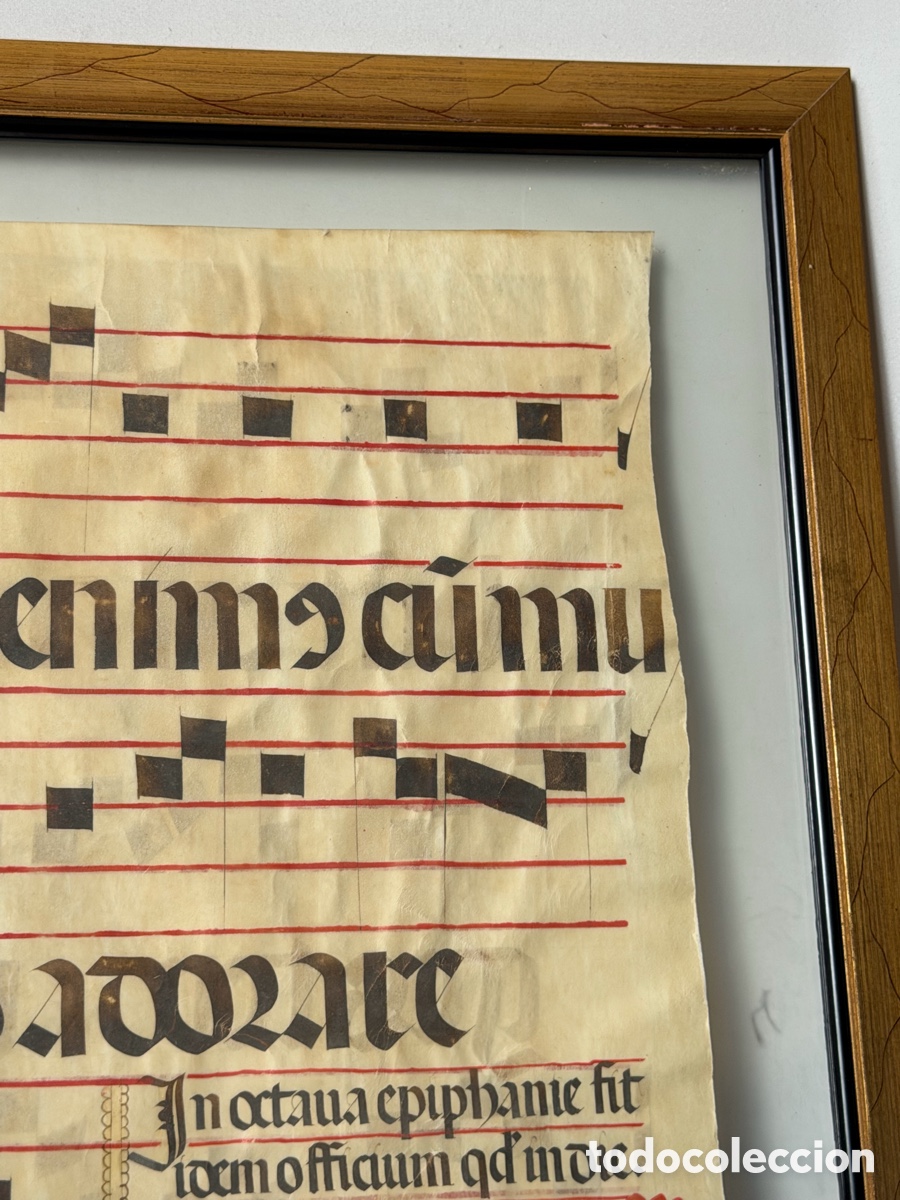 Manuscritos antiguos: Hoja pergamino cantoral xvi - Foto 10