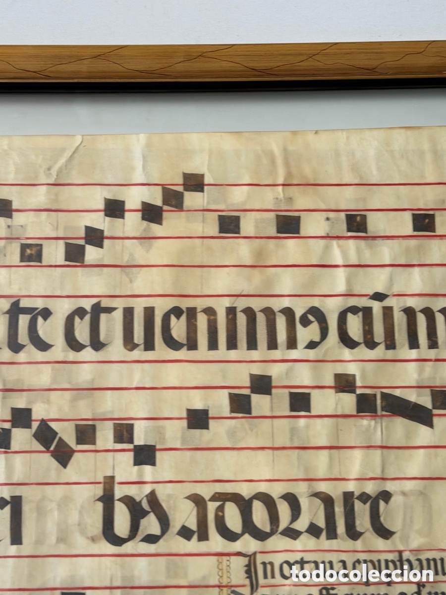 Manuscritos antiguos: Hoja pergamino cantoral xvi - Foto 11