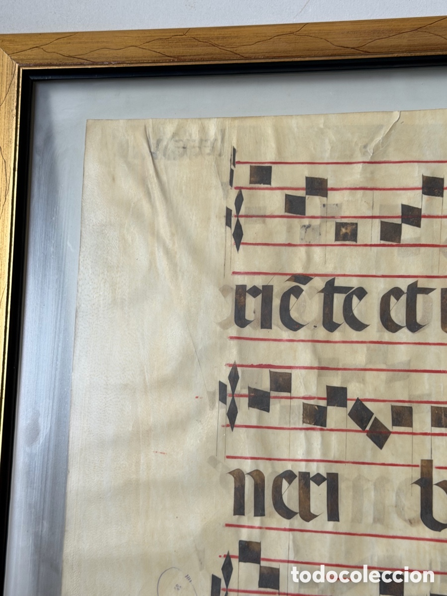 Manuscritos antiguos: Hoja pergamino cantoral xvi - Foto 12