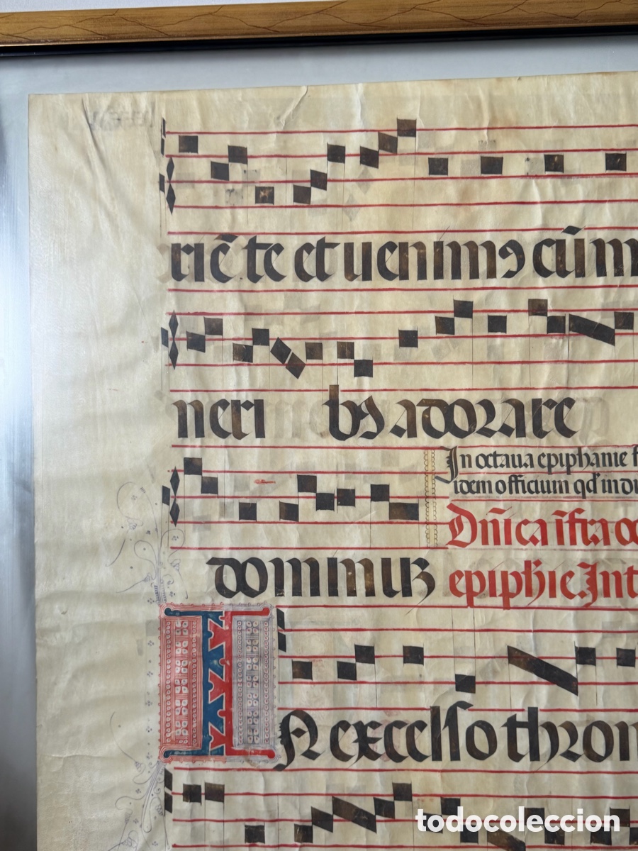 Manuscritos antiguos: Hoja pergamino cantoral xvi - Foto 13