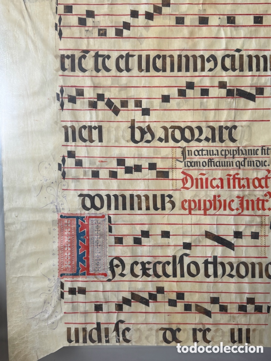 Manuscritos antiguos: Hoja pergamino cantoral xvi - Foto 14