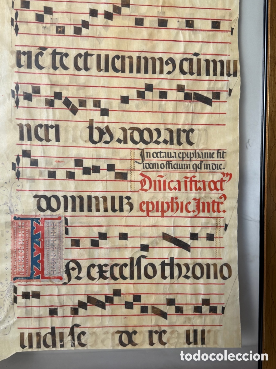 Manuscritos antiguos: Hoja pergamino cantoral xvi - Foto 15