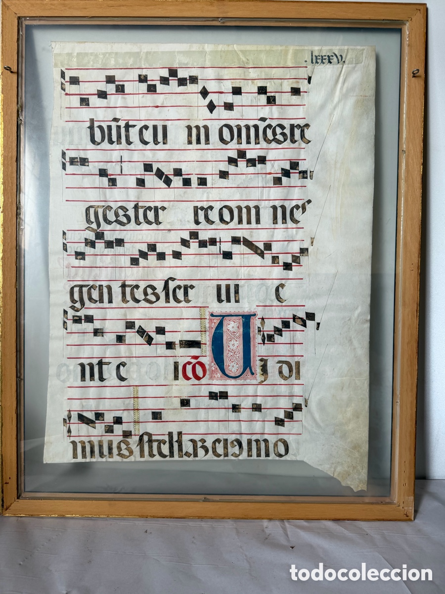 Manuscritos antiguos: Hoja pergamino cantoral xvi - Foto 16