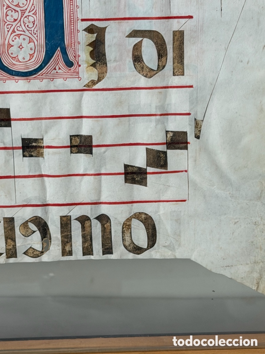Manuscritos antiguos: Hoja pergamino cantoral xvi - Foto 19