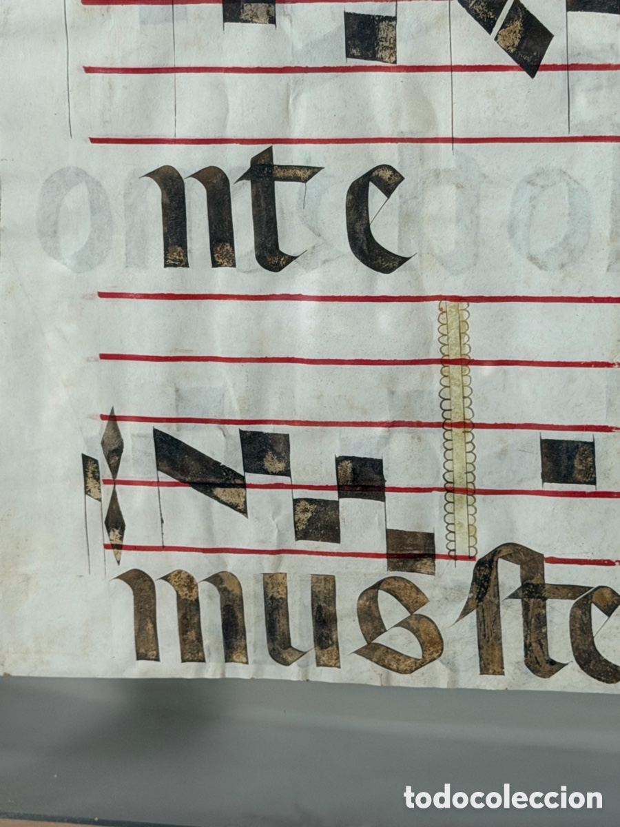 Manuscritos antiguos: Hoja pergamino cantoral xvi - Foto 20