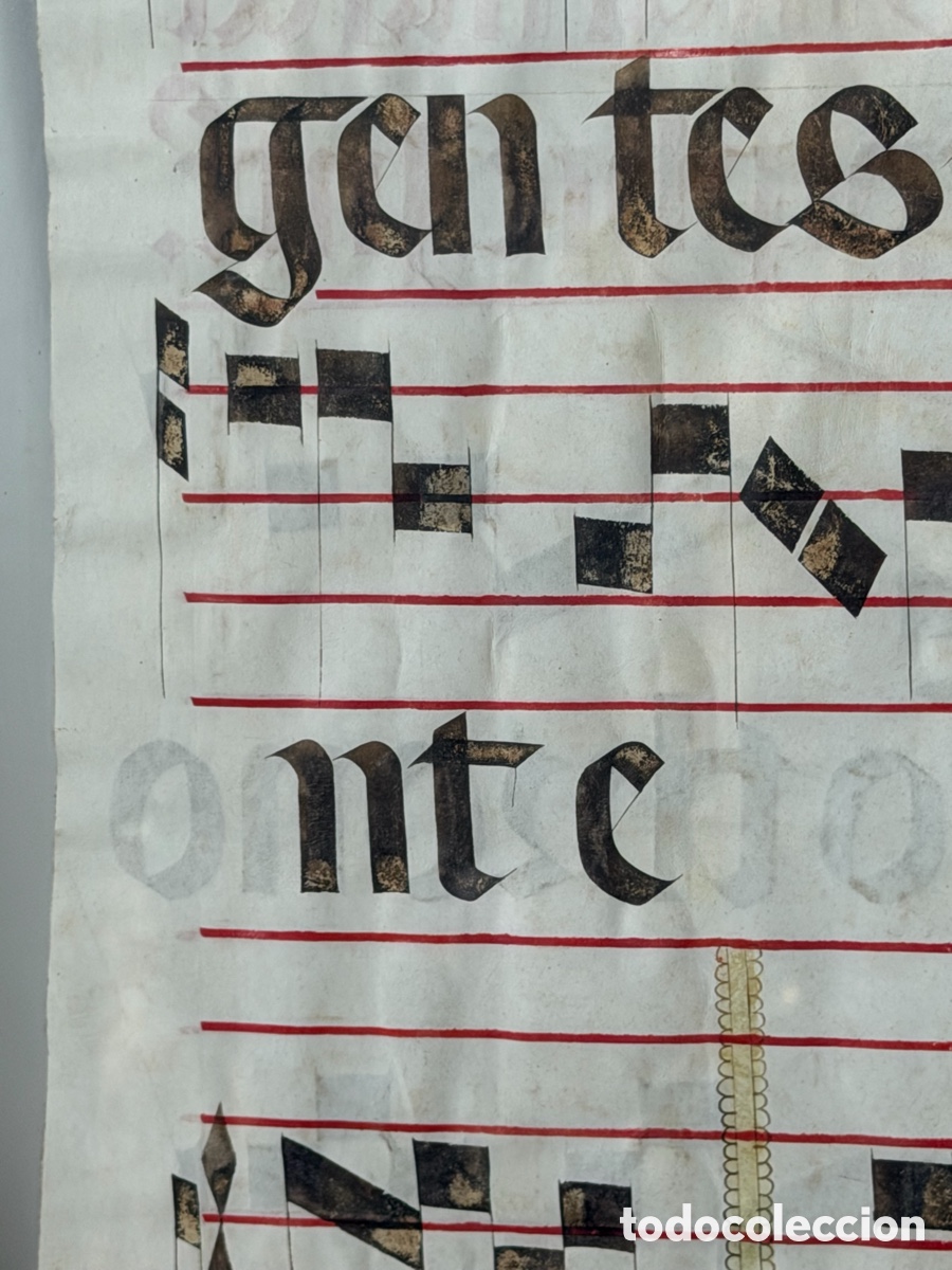 Manuscritos antiguos: Hoja pergamino cantoral xvi - Foto 21