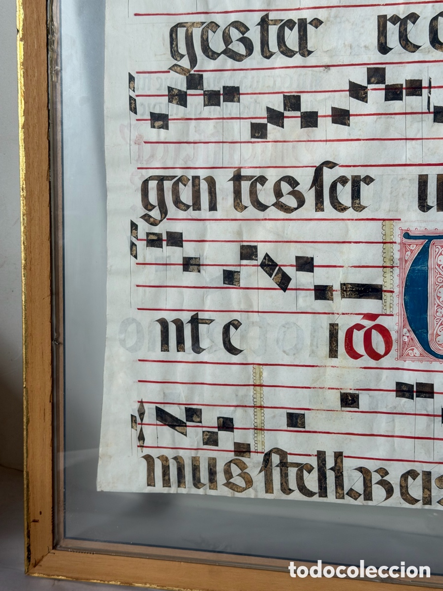 Manuscritos antiguos: Hoja pergamino cantoral xvi - Foto 22
