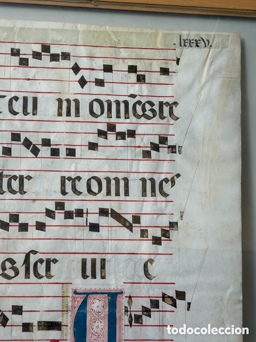 Manuscritos antiguos: Hoja pergamino cantoral xvi - Foto 23