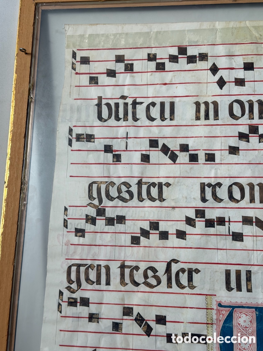 Manuscritos antiguos: Hoja pergamino cantoral xvi - Foto 24