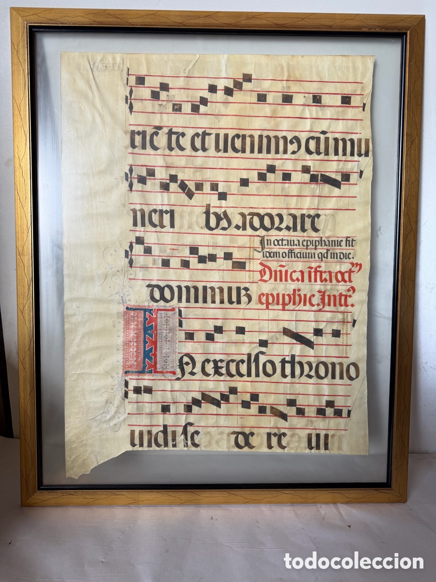 Manuscritos antiguos: Hoja pergamino cantoral xvi