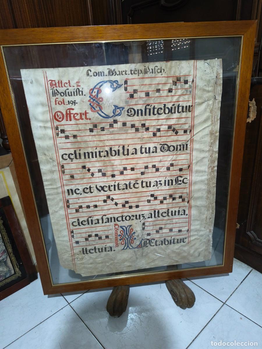 Manuscritos antiguos: Pergamino Gregoriano en Marco de Cristal a 2 Caras, Medidas 75x88 cm...