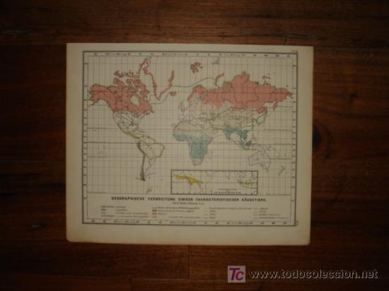 Mapas contempor&aacute;neos: MAPA, EXTENSI&Oacute;N GEOGR&Aacute;FICA MAM&Iacute;FEROS CARACTER&Iacute;STICOS EN EL MUNDO, ORIGINAL, DEBES&acute;,1888, PERFECTO
