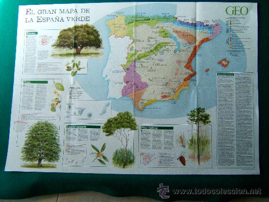 Mapas contempor&aacute;neos: EL GRAN MAPA DE LA ESPA&Ntilde;A VERDE - 15 ARBOLES SINGULARES DE ESPA&Ntilde;A - GEO - 53X77 CM. - A&Ntilde;OS 1990 ?