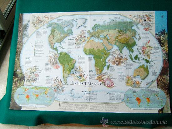 Mapas contempor&aacute;neos: MAPAMUNDI - DIVERSIDAD DE VIDA - BIODIVERSIDAD - NATIONAL GEOGRAPHIC - 51X80 CM. - A&Ntilde;O 1999.