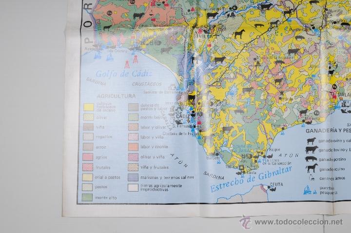 Mapas contempor&aacute;neos: MAPA PLASTIFICADO ANDALUCIA A&Ntilde;O 1987 - Foto 5
