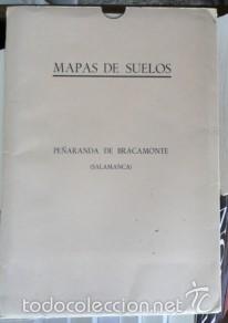 Mapas contempor&aacute;neos: Mapa de suelos, Pe&ntilde;aranda de Bracamonte 1:75.000 - Foto 2