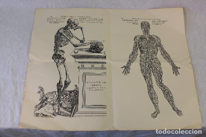 Mapas contempor&aacute;neos: Mapa andreaae vesalii brvxellensis - Foto 1